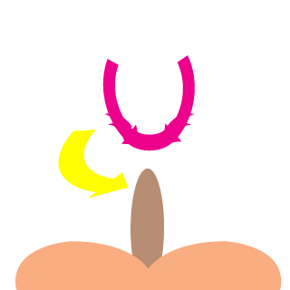 Shadownrone's emblem
