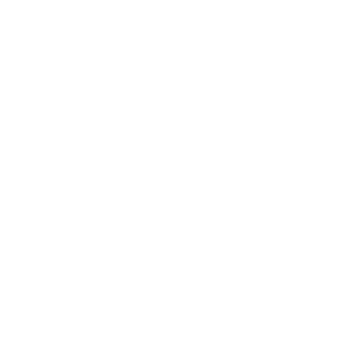 LeCamel123's emblem