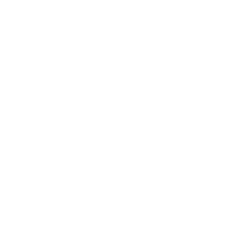 Ribeiro1Silva's emblem