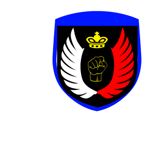 HotMan1985's emblem