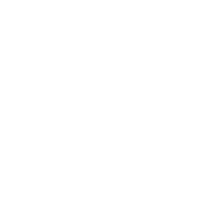 35yrOldBoomer's emblem