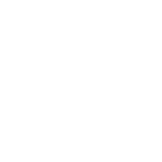 050fd167ccea0e8c's emblem