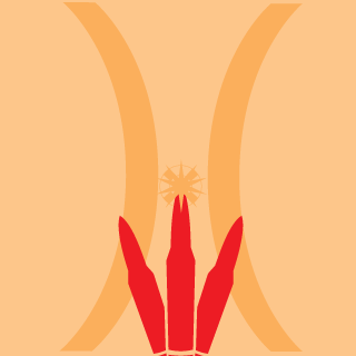 alexcapsune's emblem