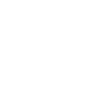 Section00_001's emblem