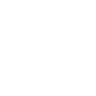 CHRISTMAS17's emblem