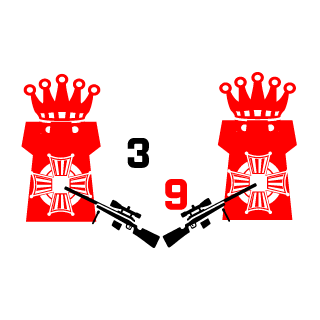 16_Damocl_13's emblem