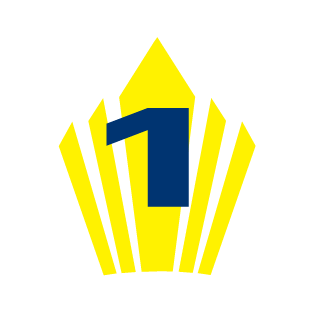 Sallesdopneu's emblem