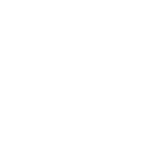 DonkeyKongBro's emblem