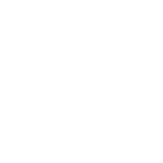 ManoleitorV8's emblem