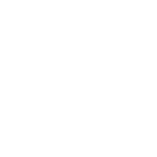 Zeron160's emblem
