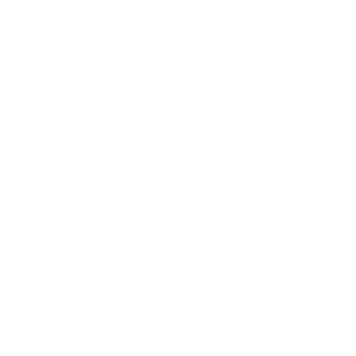 ZeeWanderer's emblem
