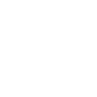 TraksSuns's emblem