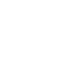 allangsj's emblem