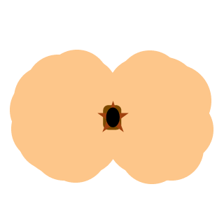 Bartush224's emblem