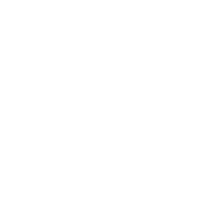 RainPainnn's emblem