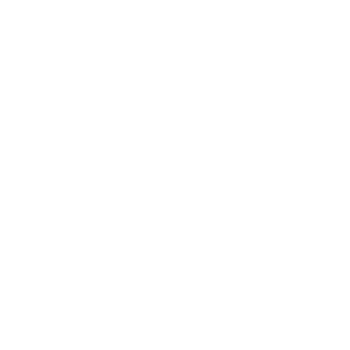 NeoDivide's emblem
