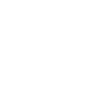 PPZ999's emblem