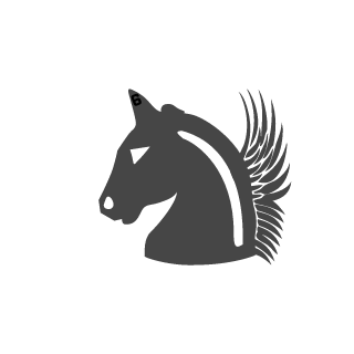 6oynik's emblem