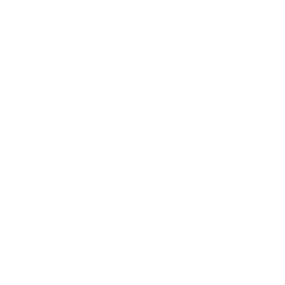 DOOLY-1O1's emblem