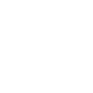 Zetpek_17's emblem