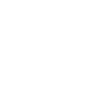 90Blackburn90's emblem
