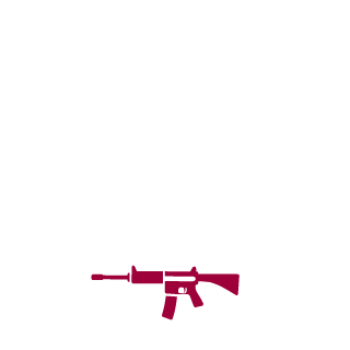 bpaflow's emblem
