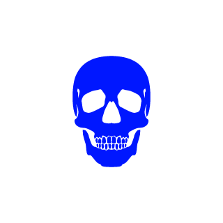 Sentryinthesky's emblem