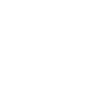 sorin21's emblem
