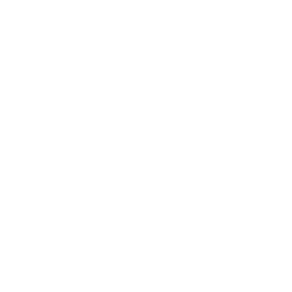 MetalJohanSolid's emblem