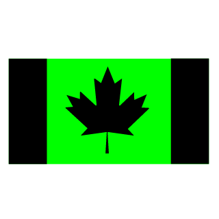 11ZeeK11's emblem