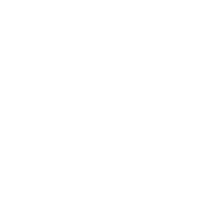 FabianPainenao's emblem