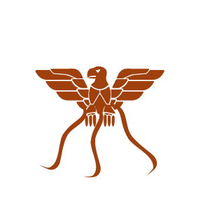 Victor_gomes21's emblem