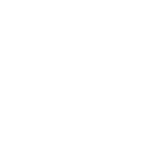 YourNeighbourIvo's emblem