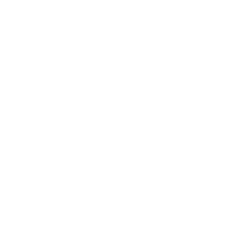 wthNiko's emblem