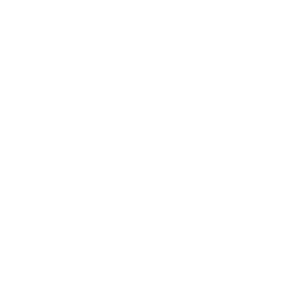 CTNFritz's emblem