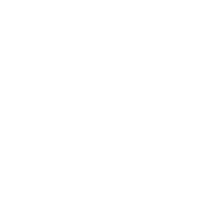 N0W4Y-A01's emblem