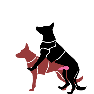 DasHarold's emblem