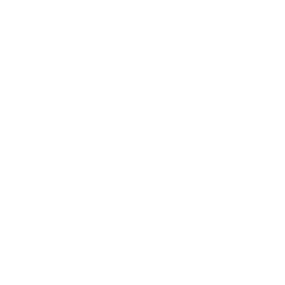 borhanrahi1111's emblem