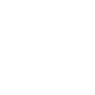 BattleZhuk's emblem