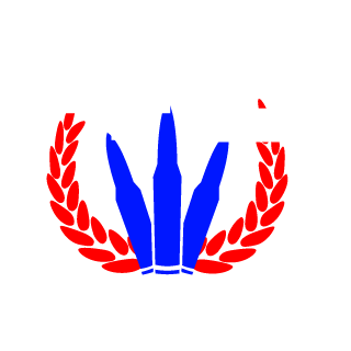 BIG_PAPy42's emblem