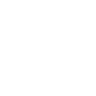 DodoGg1337's emblem
