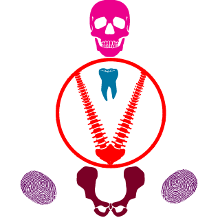 SOFcobra's emblem