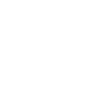 Iconitoo's emblem