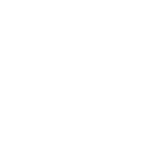 Baggie995's emblem