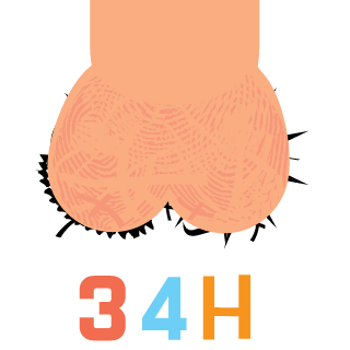 Serega_Bubir's emblem