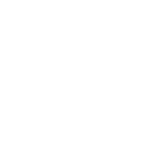 standardlzed's emblem