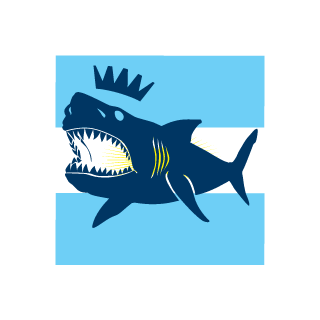 B1X_GAMING_TV's emblem