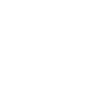 danmaneres's emblem