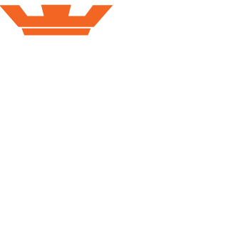 FiiizyBubbles's emblem