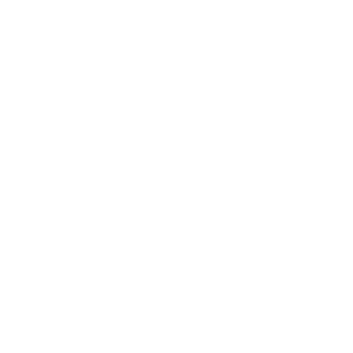 01-INTERFECTOR's emblem